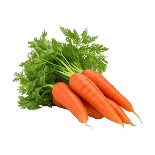 Organic Carrots (500g)